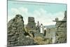 Old Adobe Ruins, Warner Hot Springs-null-Mounted Art Print