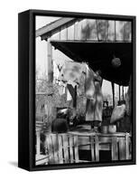 Old African American, Wife of Sharecropper, Lizzie Alexander Hanging Laundry to Dry on Her Porch-Alfred Eisenstaedt-Framed Stretched Canvas