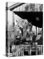 Old African American, Wife of Sharecropper, Lizzie Alexander Hanging Laundry to Dry on Her Porch-Alfred Eisenstaedt-Stretched Canvas