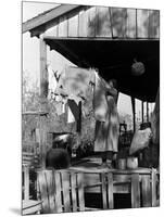 Old African American, Wife of Sharecropper, Lizzie Alexander Hanging Laundry to Dry on Her Porch-Alfred Eisenstaedt-Mounted Photographic Print