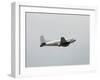 Old Airplane-icholakov-Framed Photographic Print