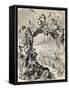 Old Allegoric Illustration Of Mardi Gras (Fat Tuesday) During Carnival Celebrations In Paris-marzolino-Framed Stretched Canvas