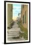 Old Alley Steps, Marblehead, Mass.-null-Framed Art Print
