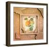 Old America Apple-Peter Kelly-Framed Art Print