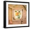 Old America Apple-Peter Kelly-Framed Art Print