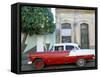 Old American Car Parked on Street Beneath Fruit Tree, Cienfuegos, Cuba, Central America-Lee Frost-Framed Stretched Canvas