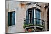 Old and Colorful Doorways and Windows in Venice, Italy-Darrell Gulin-Mounted Photographic Print