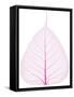 Old and Dry Pink Pho Leaf Detail-wuttichok-Framed Stretched Canvas