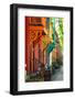 Old Architecture in Montreal-Brian Burton Arsenault-Framed Photographic Print