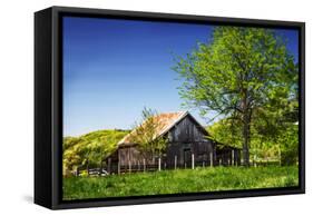 Old Backyard Barn-Alan Hausenflock-Framed Stretched Canvas