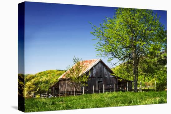 Old Backyard Barn-Alan Hausenflock-Stretched Canvas