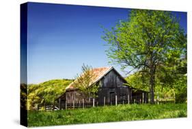 Old Backyard Barn-Alan Hausenflock-Stretched Canvas