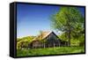 Old Backyard Barn-Alan Hausenflock-Framed Stretched Canvas