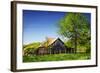 Old Backyard Barn-Alan Hausenflock-Framed Photographic Print