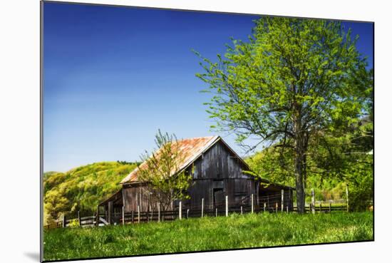 Old Backyard Barn-Alan Hausenflock-Mounted Photographic Print