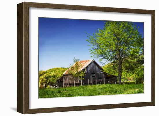 Old Backyard Barn-Alan Hausenflock-Framed Photographic Print