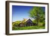 Old Backyard Barn-Alan Hausenflock-Framed Photographic Print