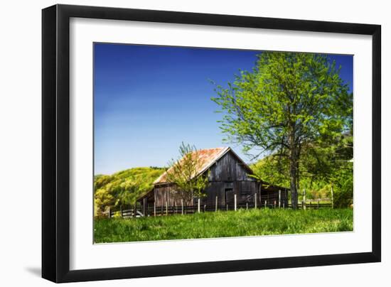 Old Backyard Barn-Alan Hausenflock-Framed Photographic Print