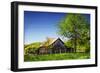 Old Backyard Barn-Alan Hausenflock-Framed Photographic Print