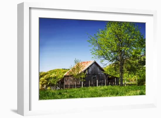 Old Backyard Barn-Alan Hausenflock-Framed Photographic Print