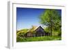 Old Backyard Barn-Alan Hausenflock-Framed Photographic Print