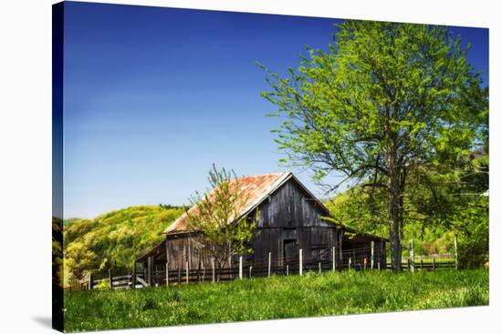 Old Backyard Barn-Alan Hausenflock-Stretched Canvas