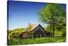 Old Backyard Barn-Alan Hausenflock-Stretched Canvas