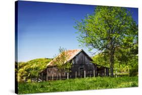 Old Backyard Barn-Alan Hausenflock-Stretched Canvas