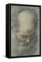 Old Bald Head and Bearded, Nearly Face, Looking Down-Federico Barocci-Framed Stretched Canvas