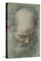 Old Bald Head and Bearded, Nearly Face, Looking Down-Federico Barocci-Stretched Canvas
