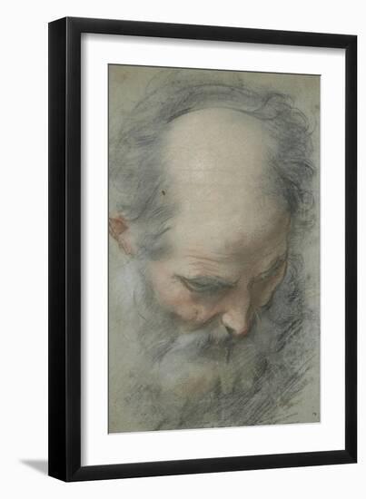 Old Bald Head and Bearded, Nearly Face, Looking Down-Federico Barocci-Framed Giclee Print