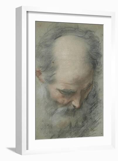 Old Bald Head and Bearded, Nearly Face, Looking Down-Federico Barocci-Framed Giclee Print