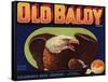 Old Baldy Brand - Upland, California - Citrus Crate Label-Lantern Press-Framed Stretched Canvas