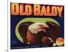 Old Baldy Brand - Upland, California - Citrus Crate Label-Lantern Press-Framed Art Print