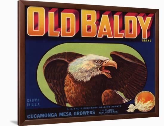 Old Baldy Brand - Upland, California - Citrus Crate Label-Lantern Press-Framed Art Print