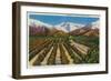 Old Baldy Mountain from the Orange Groves - Upland, CA-Lantern Press-Framed Art Print