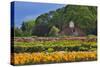 Old Barn and Flower Nursery, Willamette Valley, Oregon, USA-Jaynes Gallery-Stretched Canvas