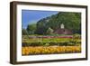 Old Barn and Flower Nursery, Willamette Valley, Oregon, USA-Jaynes Gallery-Framed Photographic Print