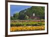 Old Barn and Flower Nursery, Willamette Valley, Oregon, USA-Jaynes Gallery-Framed Photographic Print