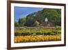 Old Barn and Flower Nursery, Willamette Valley, Oregon, USA-Jaynes Gallery-Framed Photographic Print