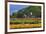 Old Barn and Flower Nursery, Willamette Valley, Oregon, USA-Jaynes Gallery-Framed Photographic Print