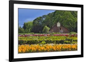 Old Barn and Flower Nursery, Willamette Valley, Oregon, USA-Jaynes Gallery-Framed Photographic Print