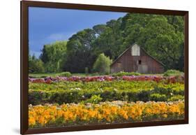 Old Barn and Flower Nursery, Willamette Valley, Oregon, USA-Jaynes Gallery-Framed Photographic Print