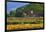 Old Barn and Flower Nursery, Willamette Valley, Oregon, USA-Jaynes Gallery-Framed Photographic Print