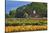 Old Barn and Flower Nursery, Willamette Valley, Oregon, USA-Jaynes Gallery-Stretched Canvas
