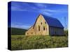 Old Barn and Spring Wheat Field-Terry Eggers-Stretched Canvas