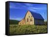 Old Barn and Spring Wheat Field-Terry Eggers-Framed Stretched Canvas