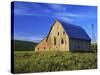 Old Barn and Spring Wheat Field-Terry Eggers-Stretched Canvas