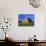 Old Barn and Spring Wheat Field-Terry Eggers-Mounted Photographic Print displayed on a wall