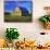 Old Barn and Spring Wheat Field-Terry Eggers-Mounted Photographic Print displayed on a wall